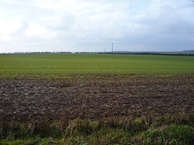 File:Crop field near Stockendale Farm - geograph.org.uk - 4826362.jpg