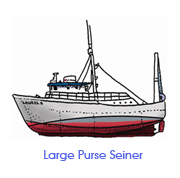 File:Drawing of a large purse seiner.png