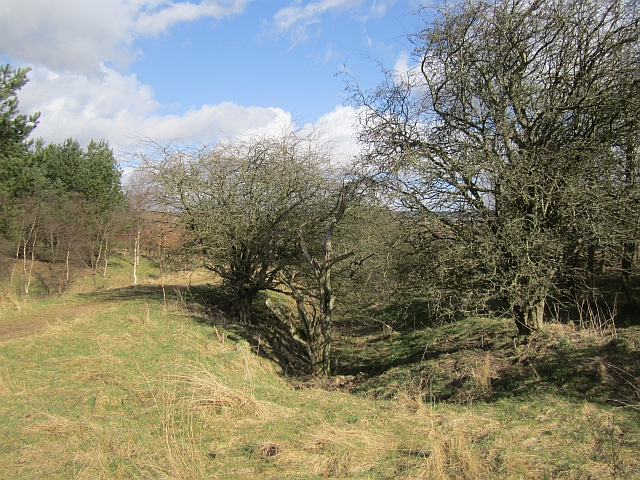 Earthworks beside Loch Fitty - geograph.org.uk - 3479862