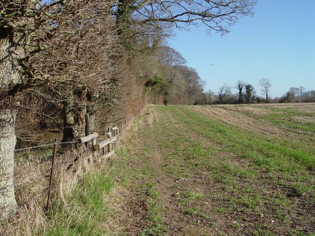 File:Edge of Sing Close Coppice - geograph.org.uk - 328540.jpg