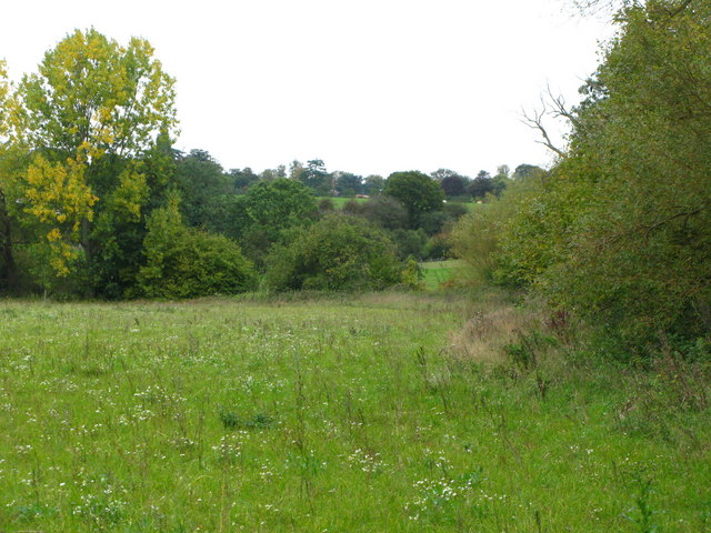 File:Field and woodland south of Tongs Farm (5) - geograph.org.uk - 2427169.jpg