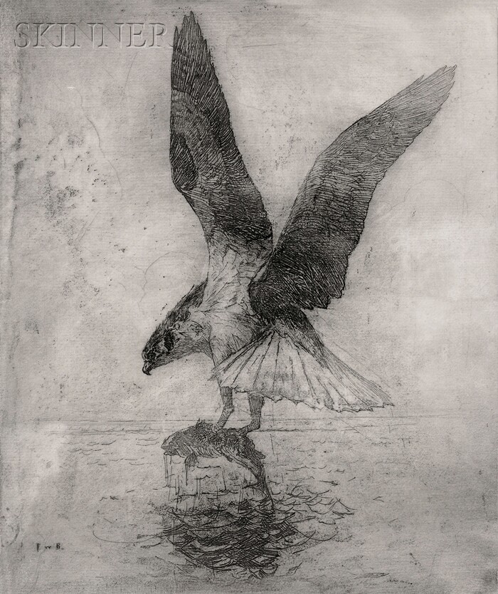 File:Fish Hawk etching 1913 Frank Weston Benson.jpg - Wikipedia