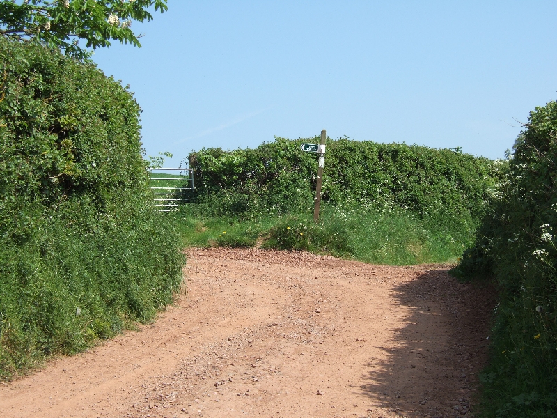 File:Footpath north from Upton Hellions to Bremridge Farm - geograph.org.uk - 2380027.jpg