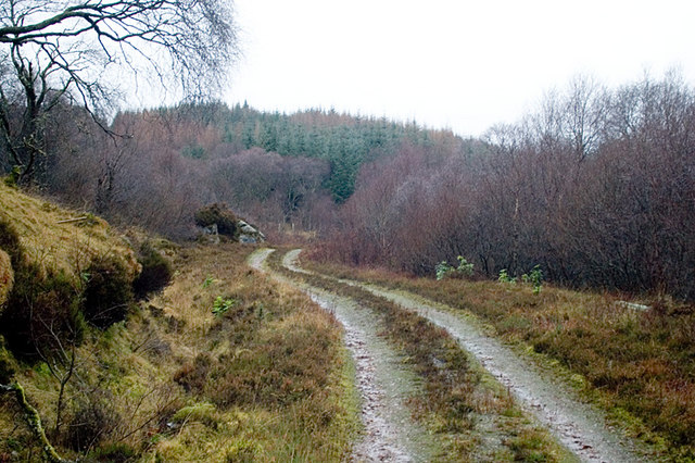 File:Forest Trail - geograph.org.uk - 646836.jpg