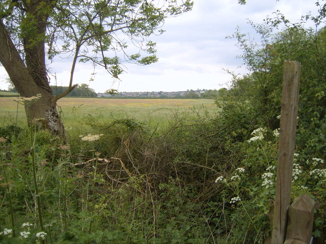 Hedge, fields and Highworth - geograph.org.uk - 446596