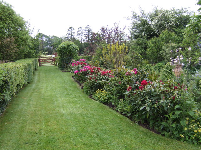 File:Herbaceous border at Coolaught - geograph.org.uk - 443553.jpg