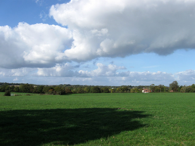 File:Hip Field - geograph.org.uk - 1530055.jpg