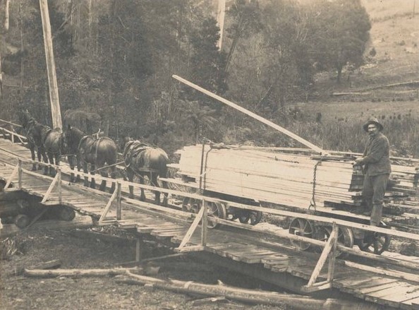 File:Horse-drawn Poweltown Tramway at Black Sands Creek.jpg