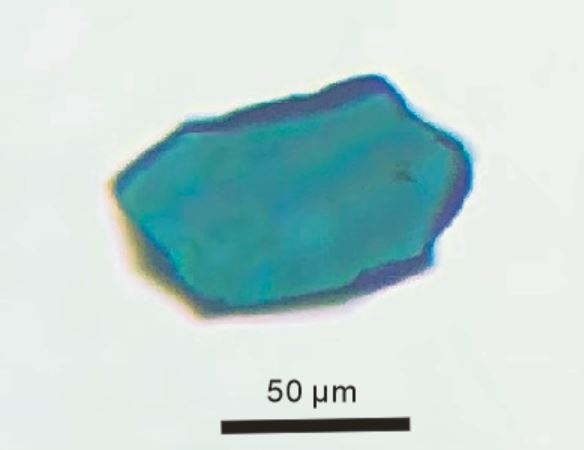 File:Hydrous Fe-bearing Wadsleyite.jpg