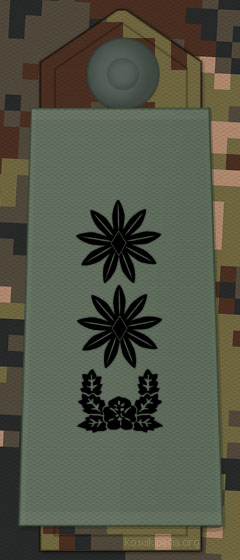 File:KA insignia Lieutenant Colonel.jpg