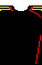 Il modulo