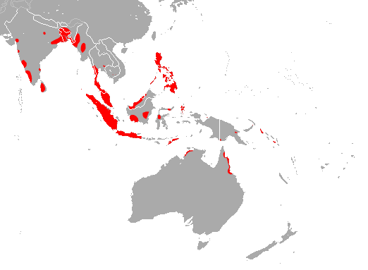 File:Naked-Rumped Pouched Bat area.png