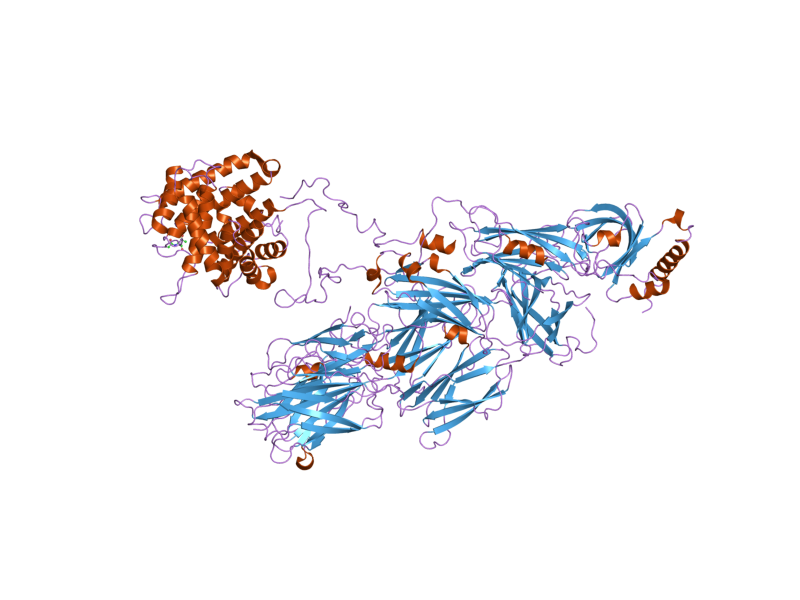 File:PDB 2hr0 EBI.png