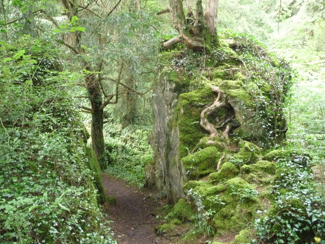 Part of the path approaching the '365 steps' - geograph.org.uk - 3101099