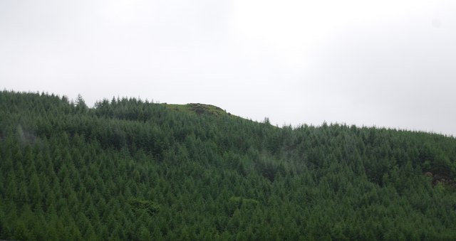 File:Plantation above Flass Tarn - geograph.org.uk - 1342799.jpg