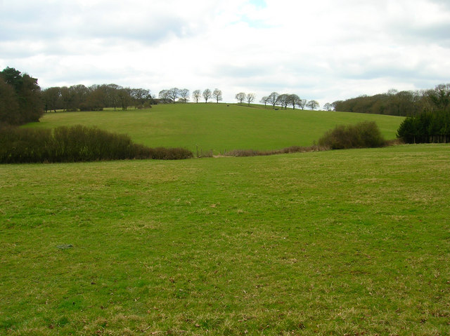 File:Pot Common - geograph.org.uk - 149433.jpg