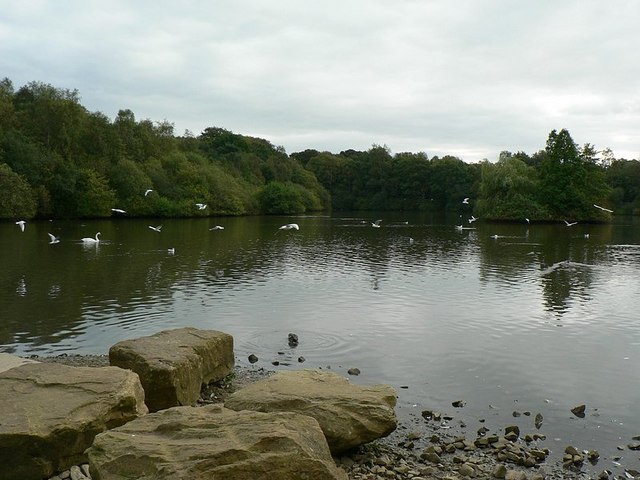 File:Rocks by the lake, with gulls - geograph.org.uk - 259283.jpg