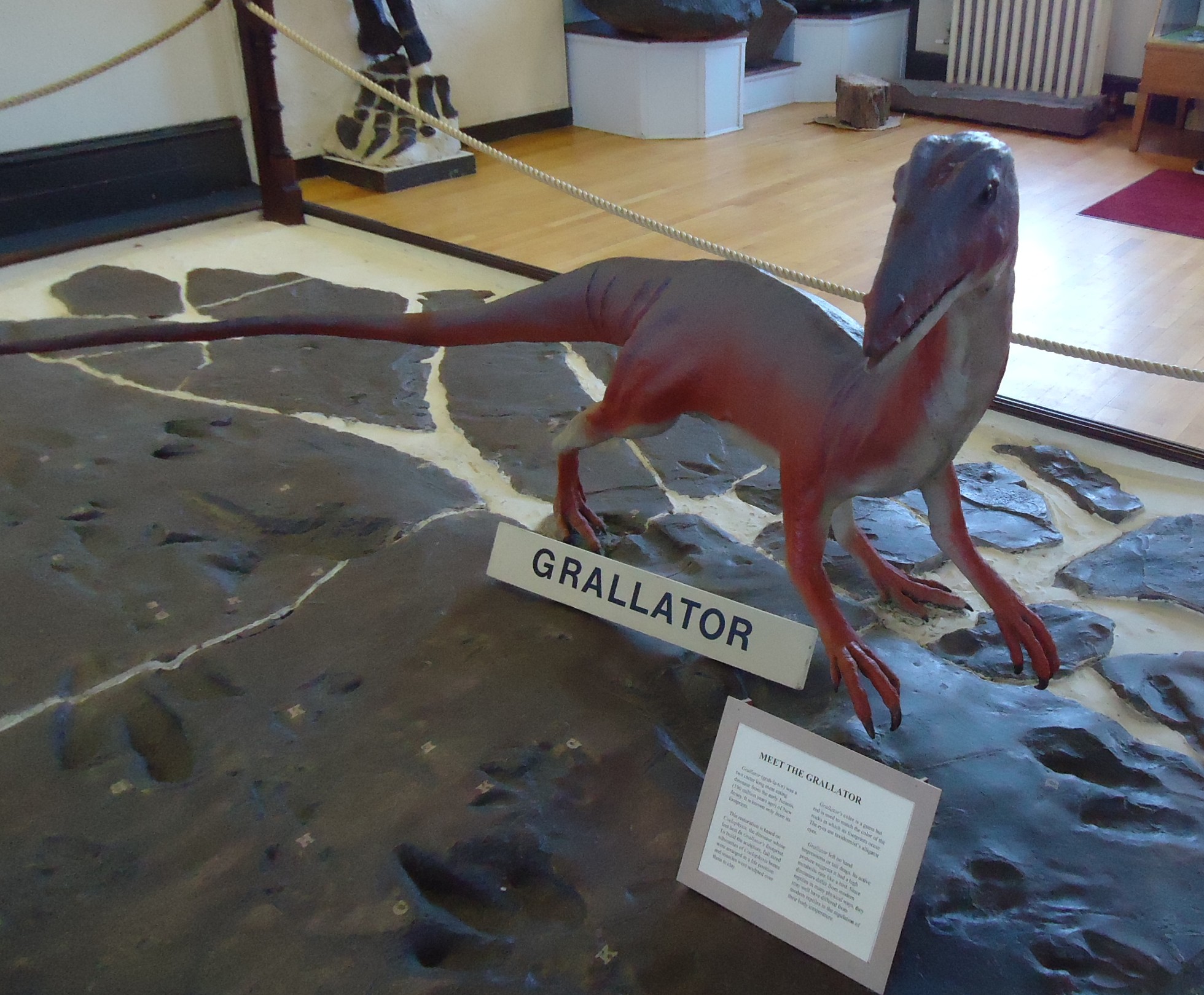File Rutgers University Geology museum prehistoric 