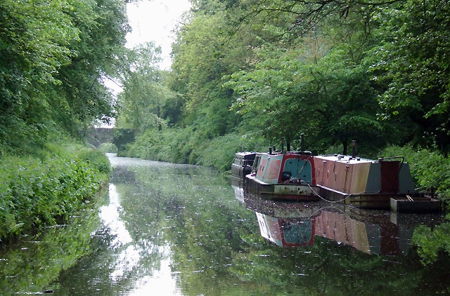 File:Shropshire Union Canal near Loynton, Staffordshire - geograph.org.uk - 1392253.jpg