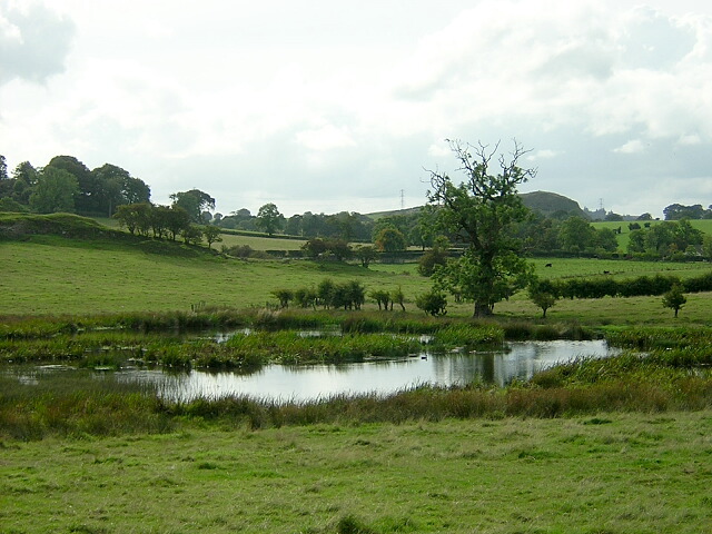 Small Pond Near Balgray Reservoir - geograph.org.uk - 245394