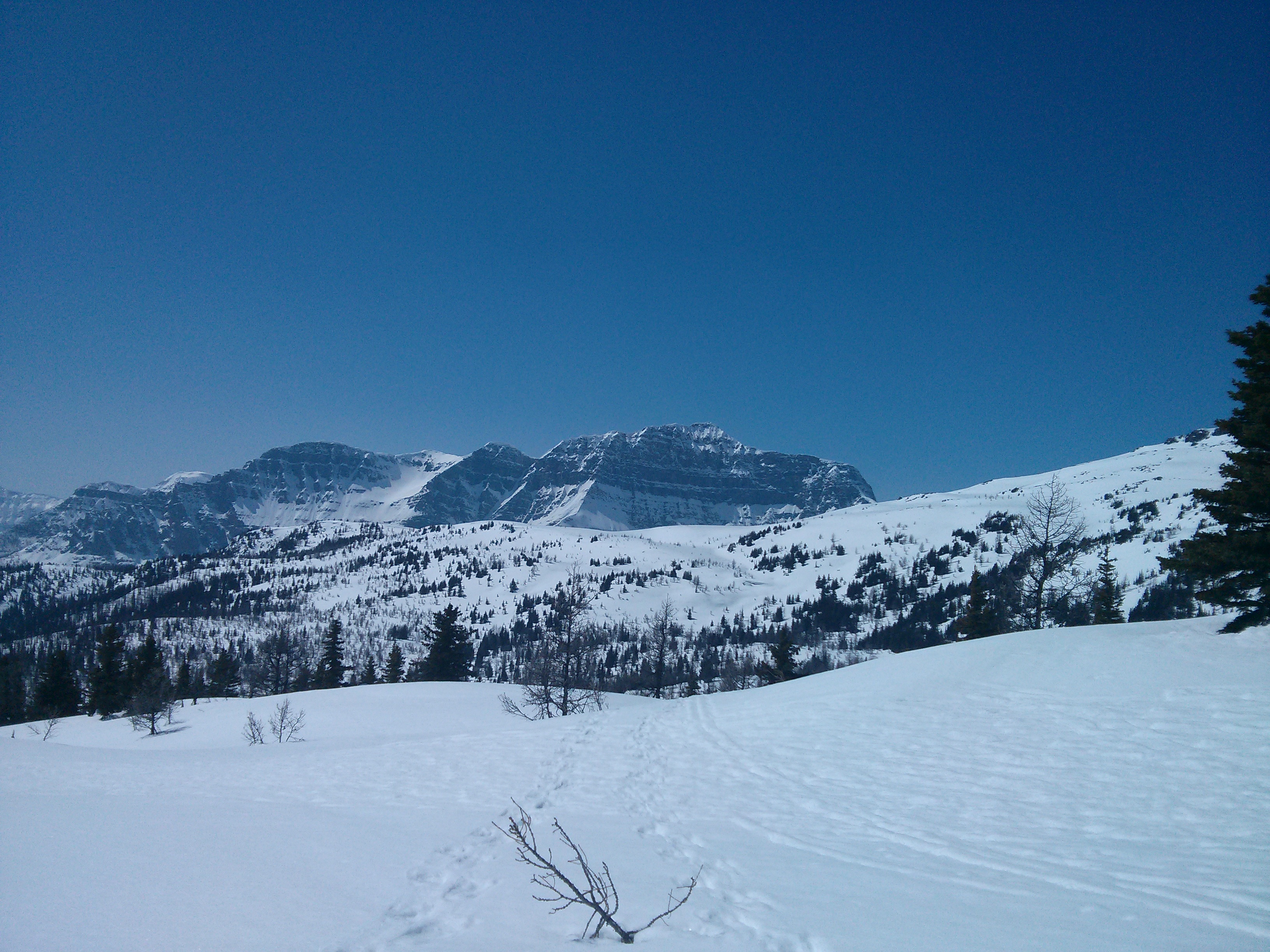 File Snowy Rocky Mountains In Banff 6 Jpg Wikimedia Commons