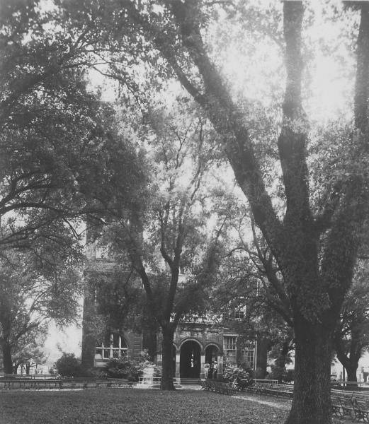 File:Terrebonne Parish Courthouse Houma Louisiana WPA.jpg