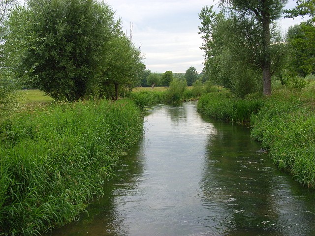 The River Wylye - geograph.org.uk - 475837