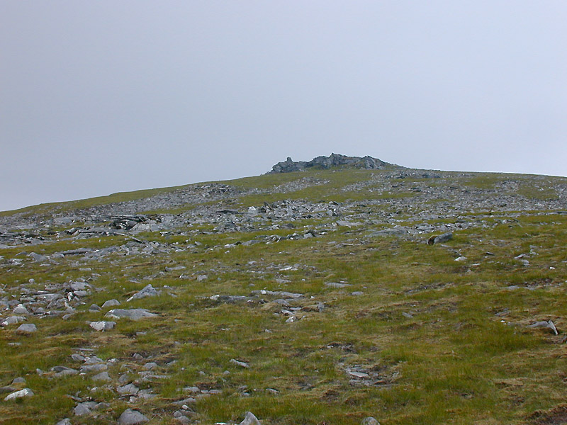 File:The summit of An Coileachan - geograph.org.uk - 629240.jpg