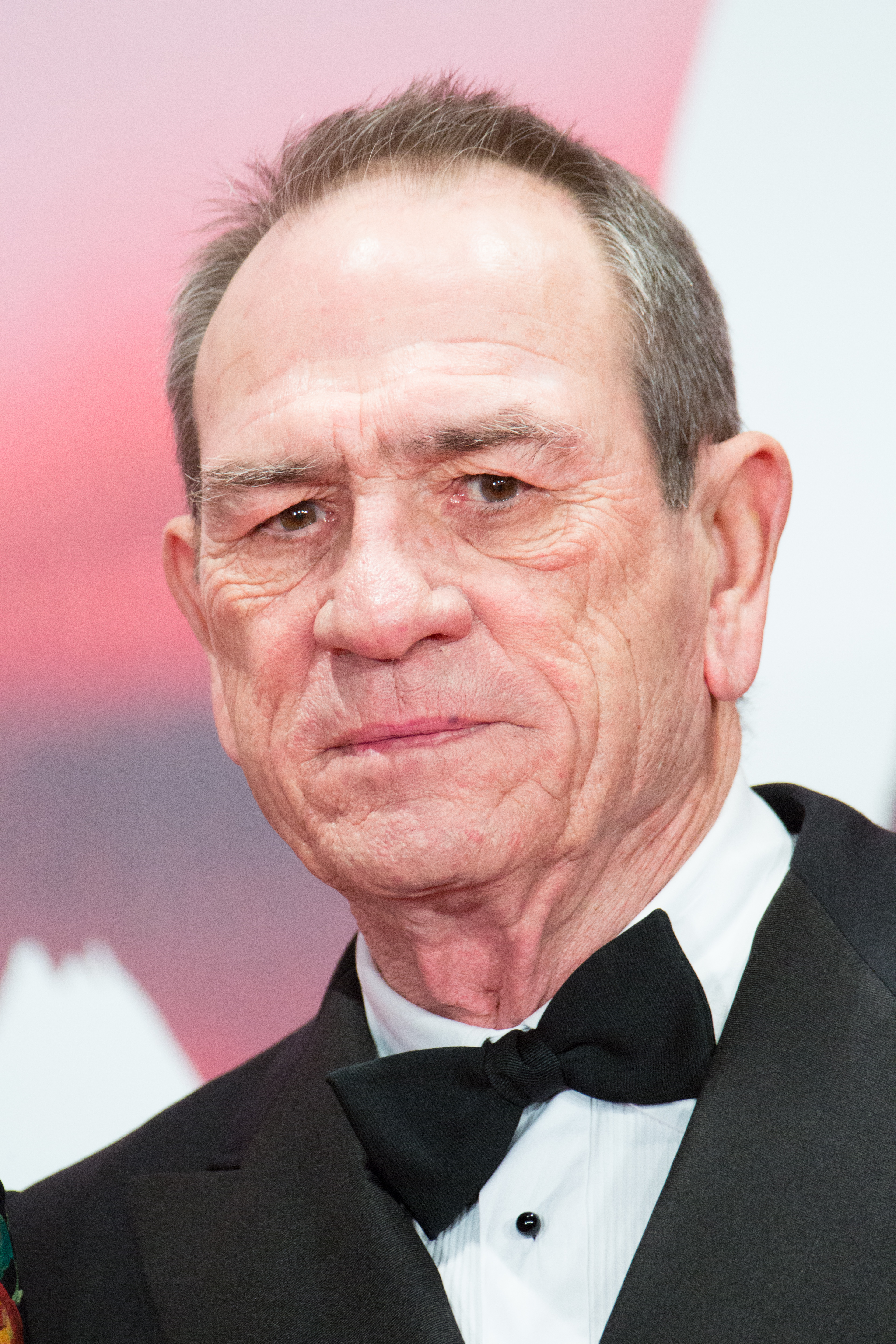 List of awards and nominations received by Tommy Lee Jones - Wikipedia