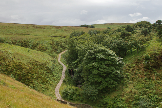 File:Track by Stepback Brook - geograph.org.uk - 505951.jpg