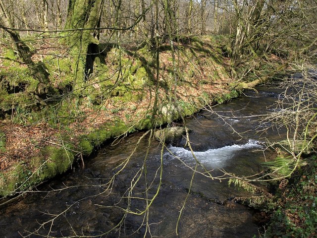 File:Tregoodwell Brook - geograph.org.uk - 735450.jpg