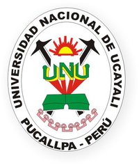 Club Deportivo Universidad Nacional de Ucayali Peruvian football club