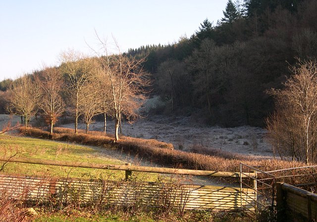 File:Valley Bottom at Highwood - geograph.org.uk - 96673.jpg