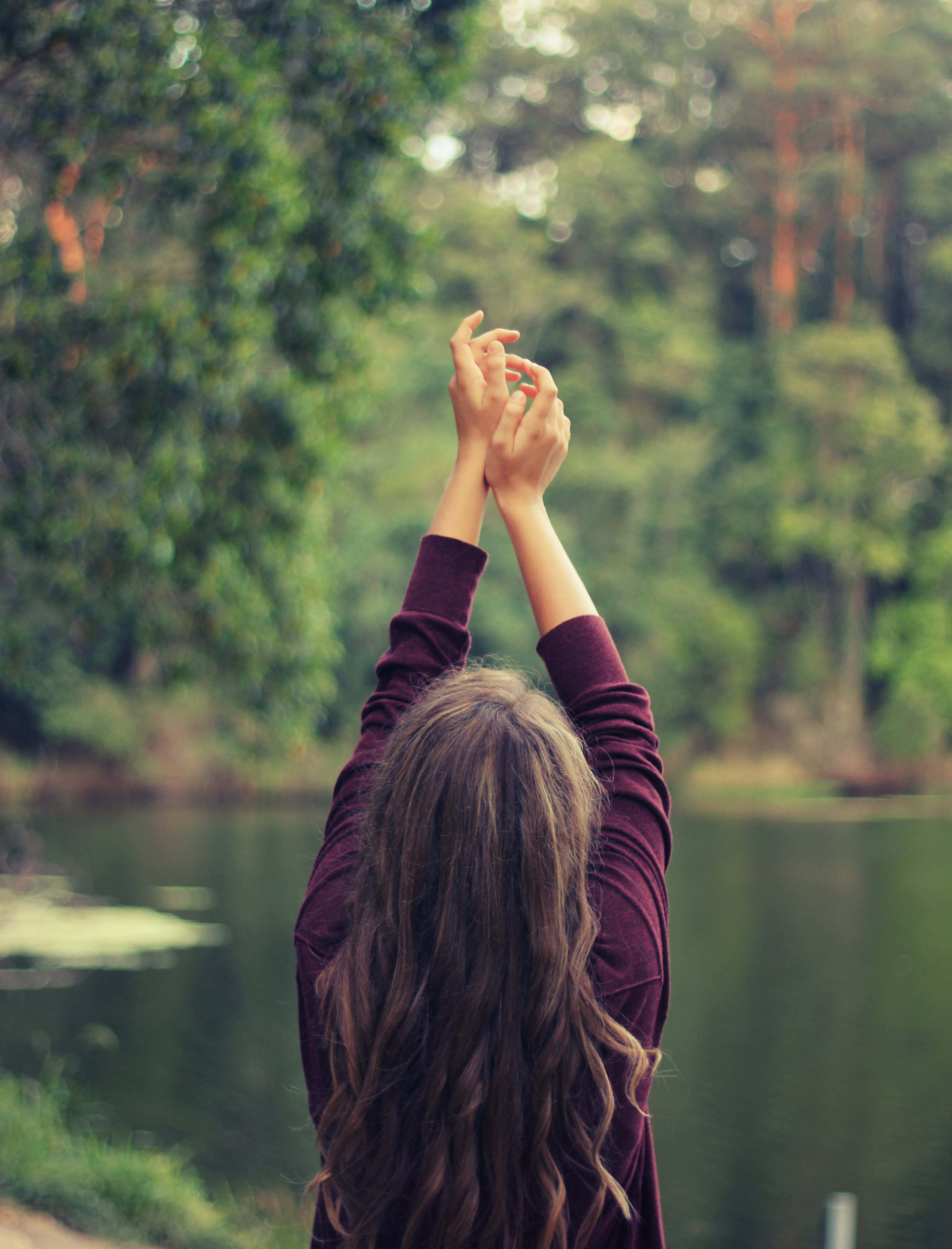 Woman Arms Pictures  Download Free Images on Unsplash