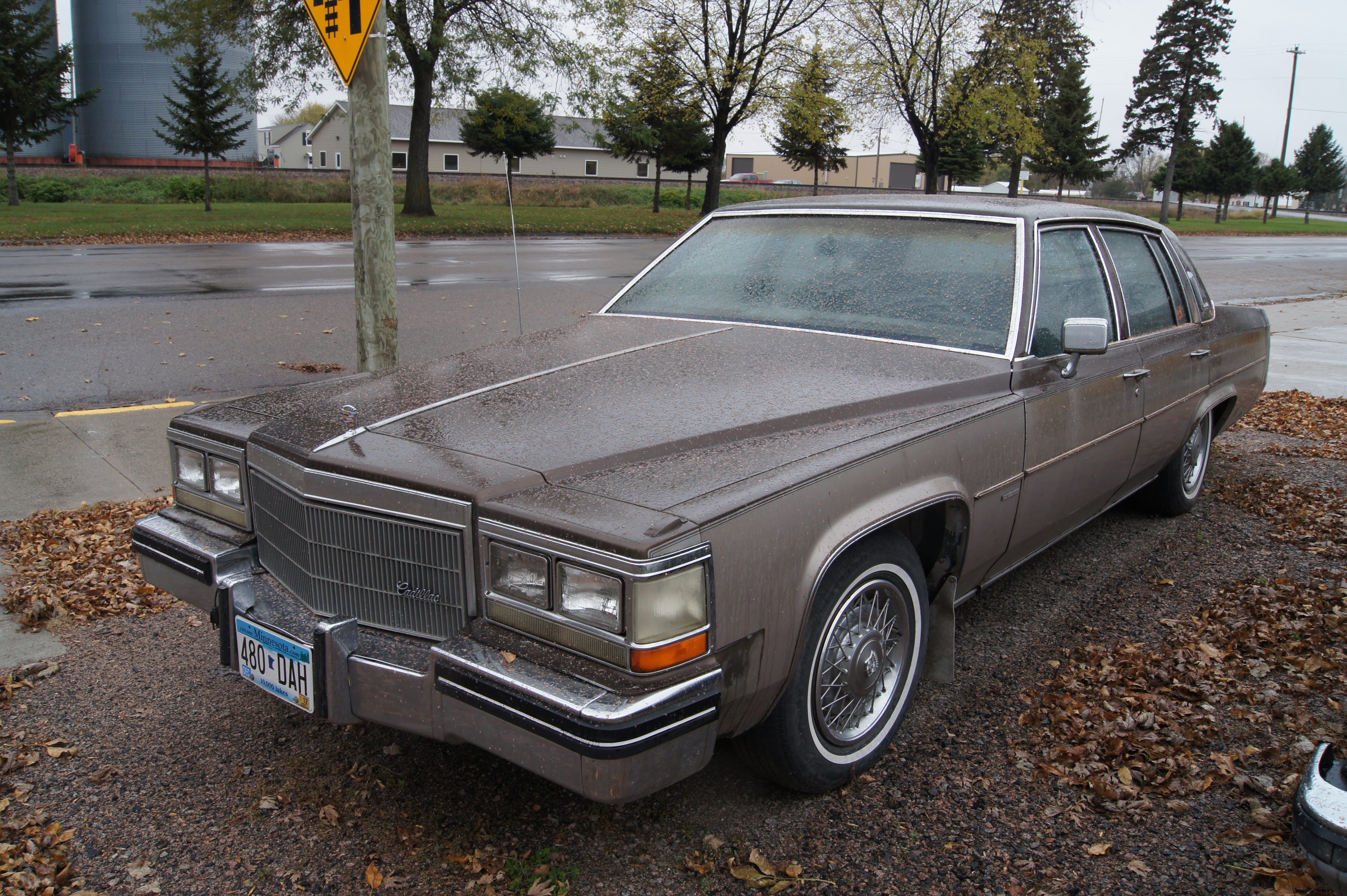 Cadillac 1978 Diamond