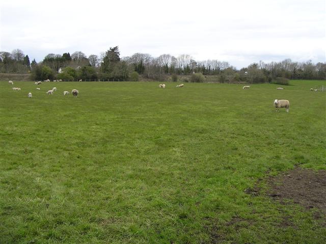 File:Ballyarnot Townland - geograph.org.uk - 759129.jpg