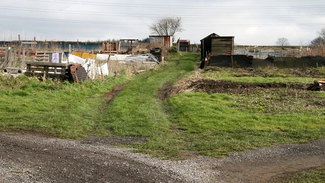 File:Barlow Hill Allotments - geograph.org.uk - 342168.jpg