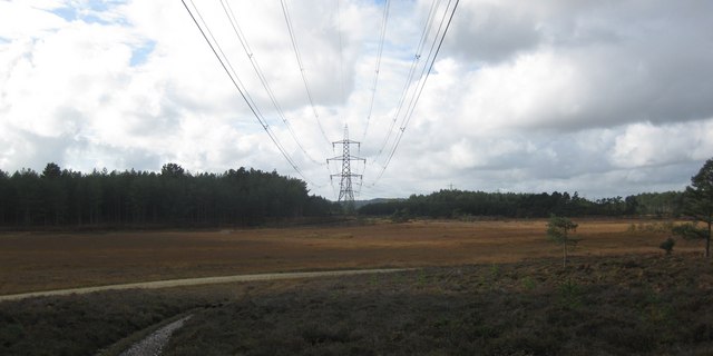 File:Bloxworth Heath - geograph.org.uk - 1551869.jpg