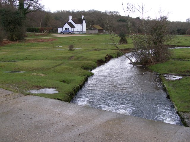 Dockens Water and Holly Hatch Cottage, New Forest - geograph.org.uk - 336091