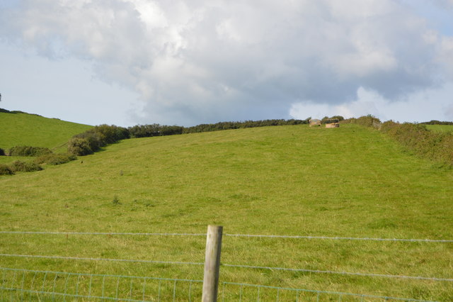 File:Elongated field - geograph.org.uk - 5659909.jpg