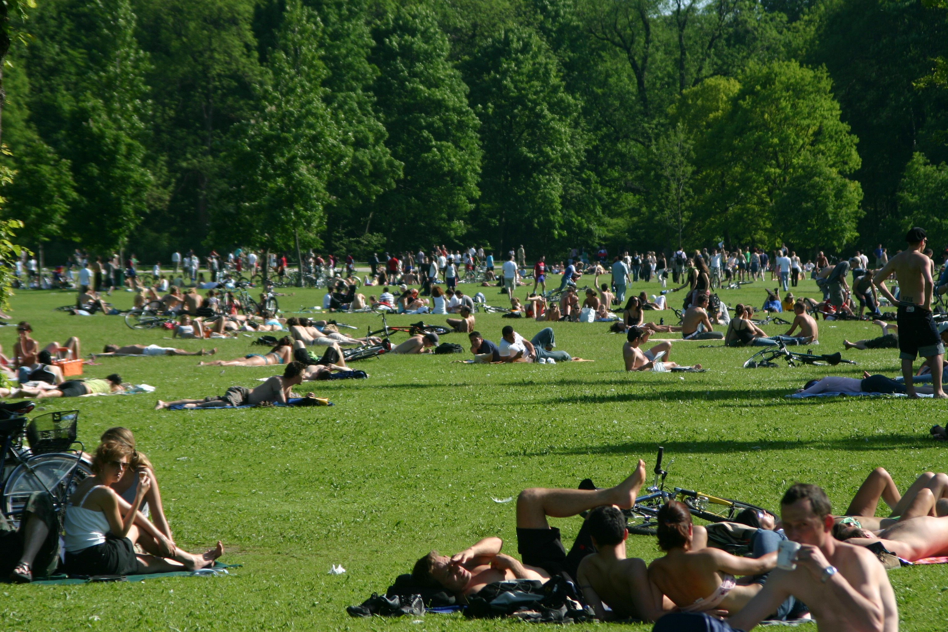 Englischer Garten in summer.jpg. 