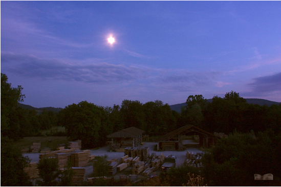 File:Entre chien et loup.jpg