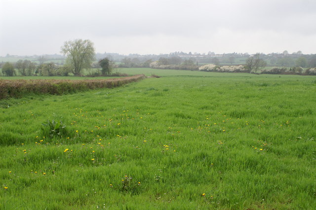 File:Field - geograph.org.uk - 157330.jpg