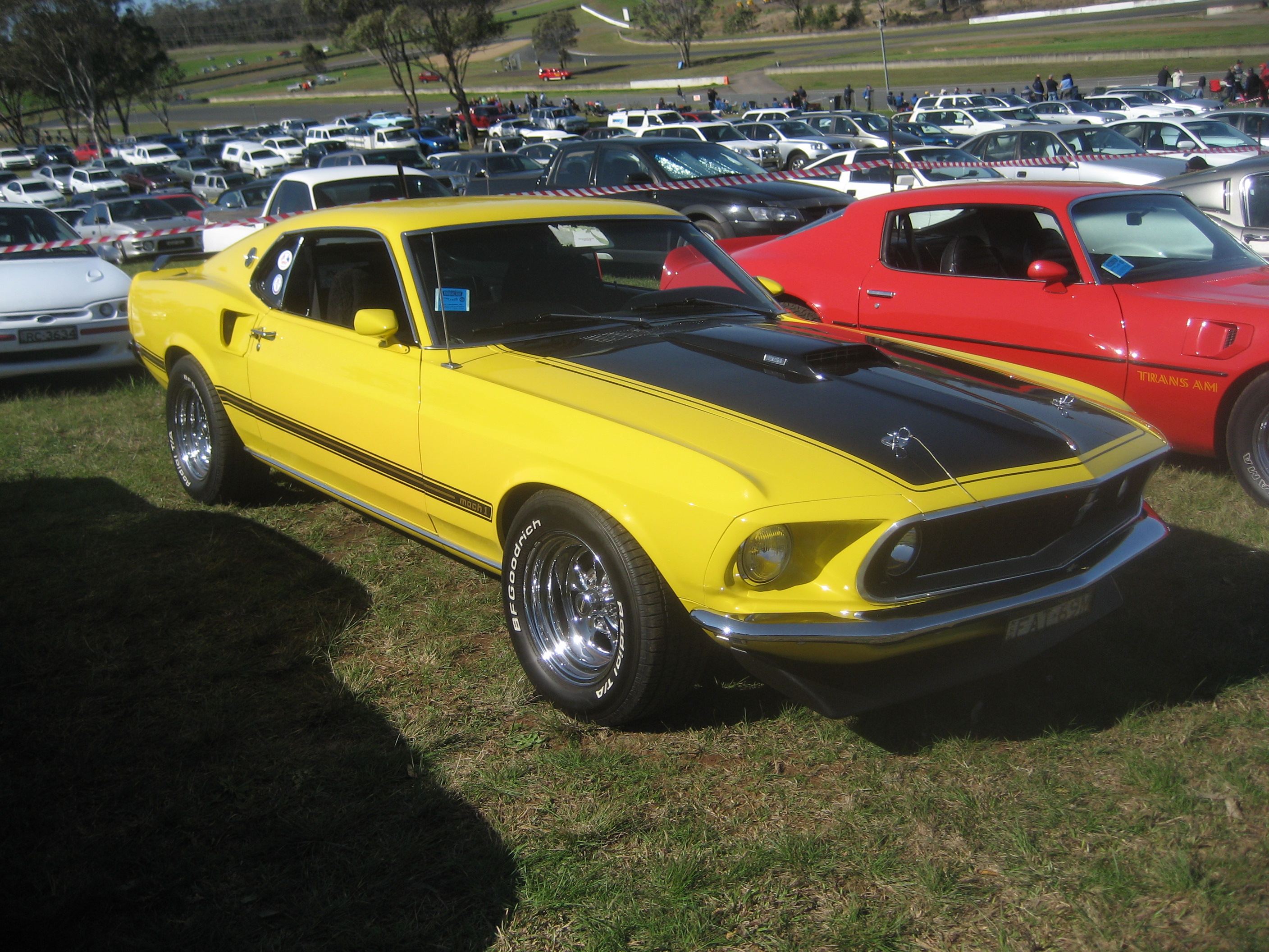 Information on 1969 ford mustang boss and mach1 #9