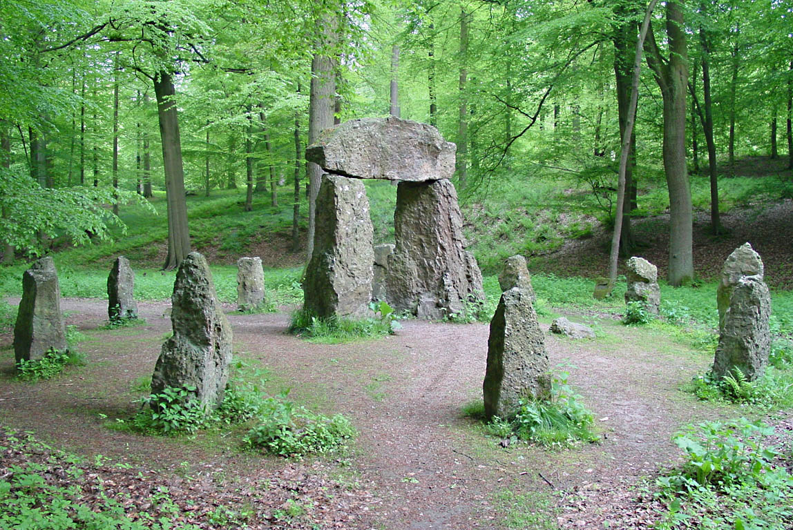 forêt de soignes