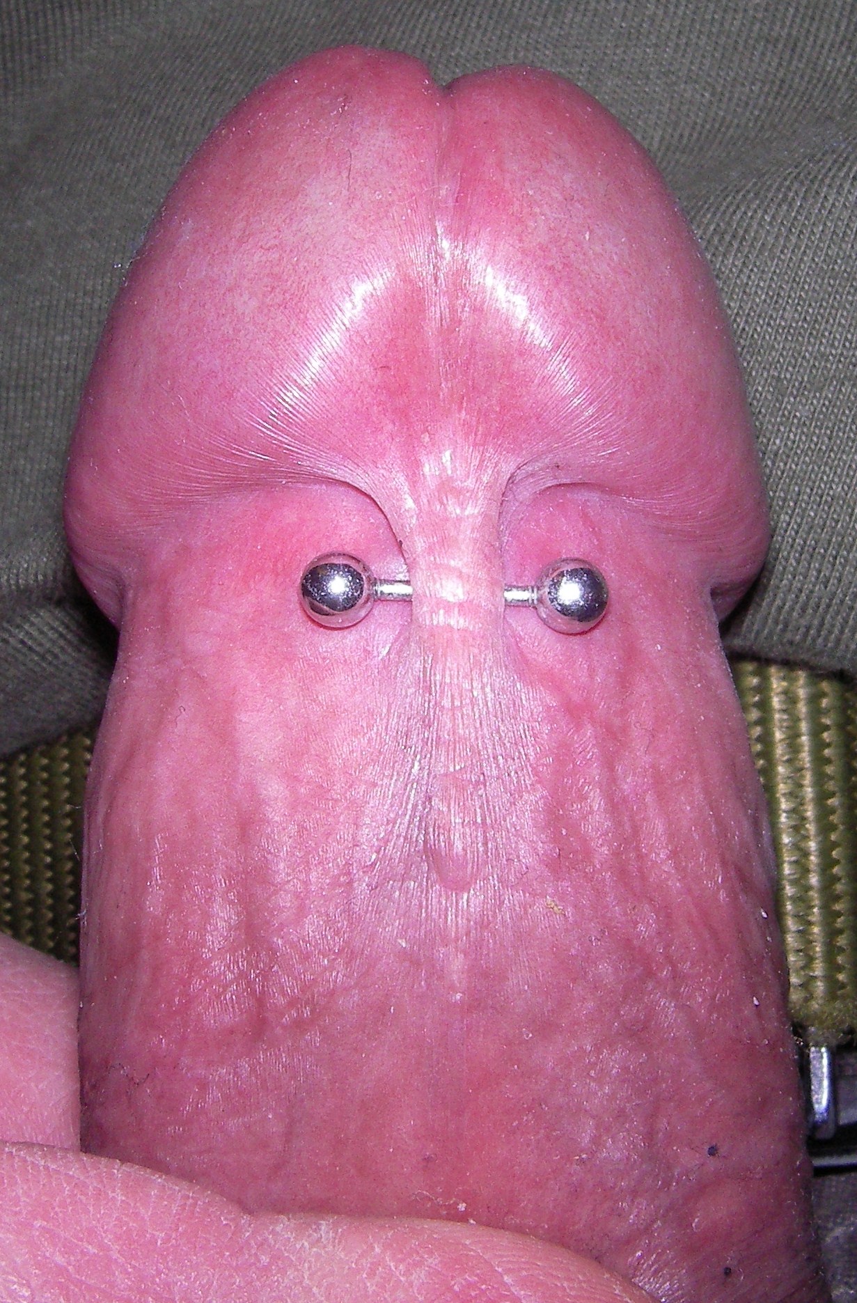 Penis Peircing Pics 59