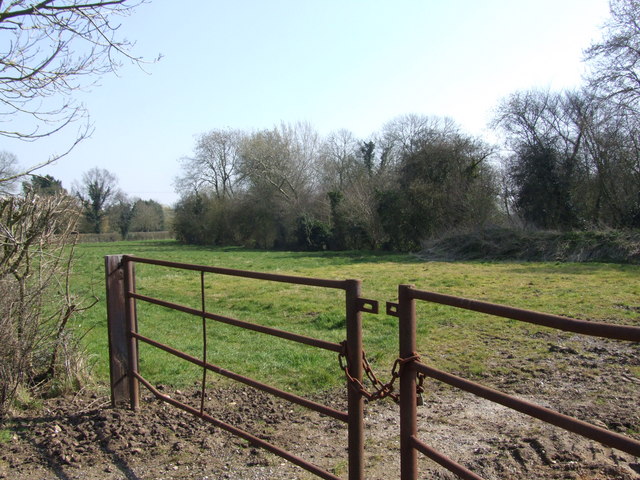 File:Gate to Field and Attleborough Wood - geograph.org.uk - 377845.jpg