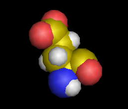 Glutamine — Wikipédia