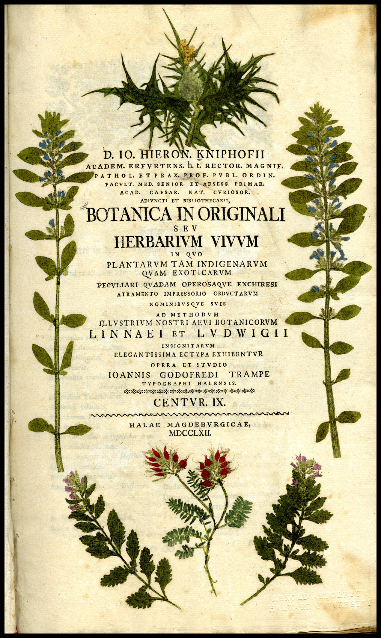 Kniphof's "Botanica in Originali, seu Herbarium Vivum" (1759)