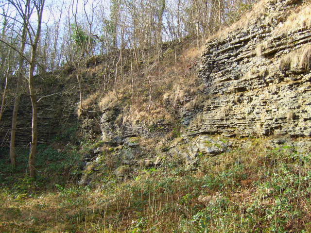 Knowle Quarry - geograph.org.uk - 689462